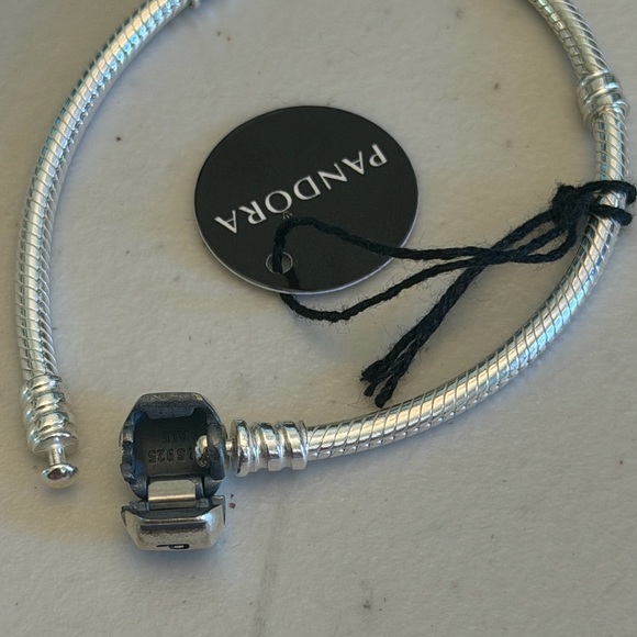 Pandora Classic Silver Bracelet - Picture 11 of 12